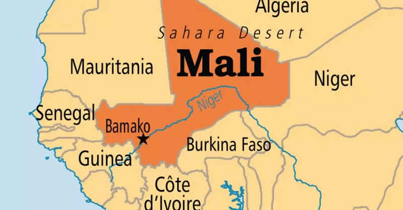 Tranding News